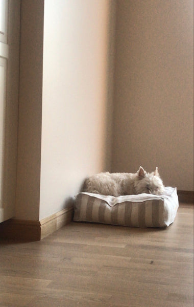 Striped White & Brown Sustainable / Eco Friendly Super Soft Linen Dog Bed